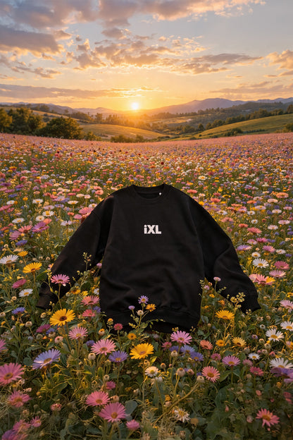Sweat iXL Basic